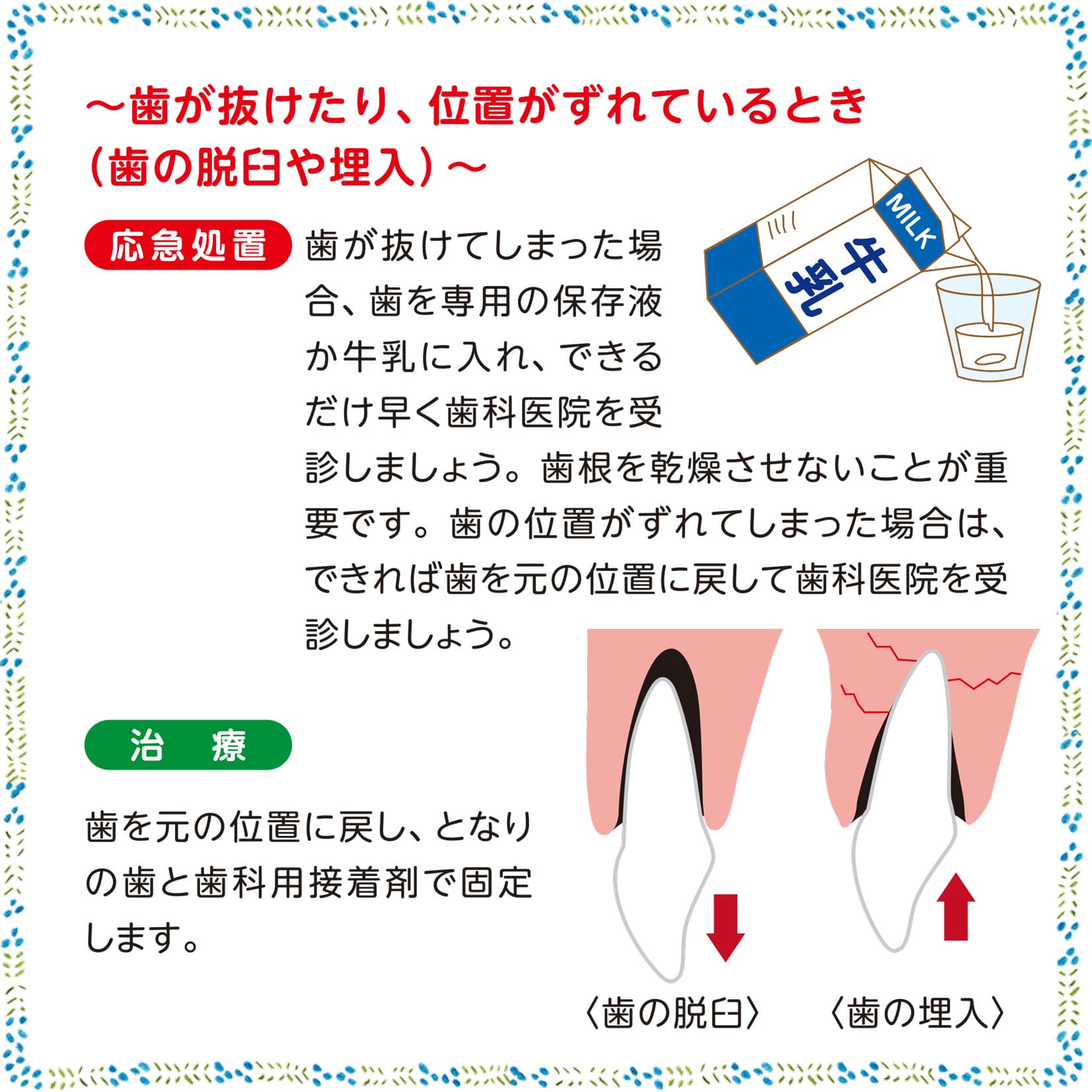 デンタルクリニック9月号