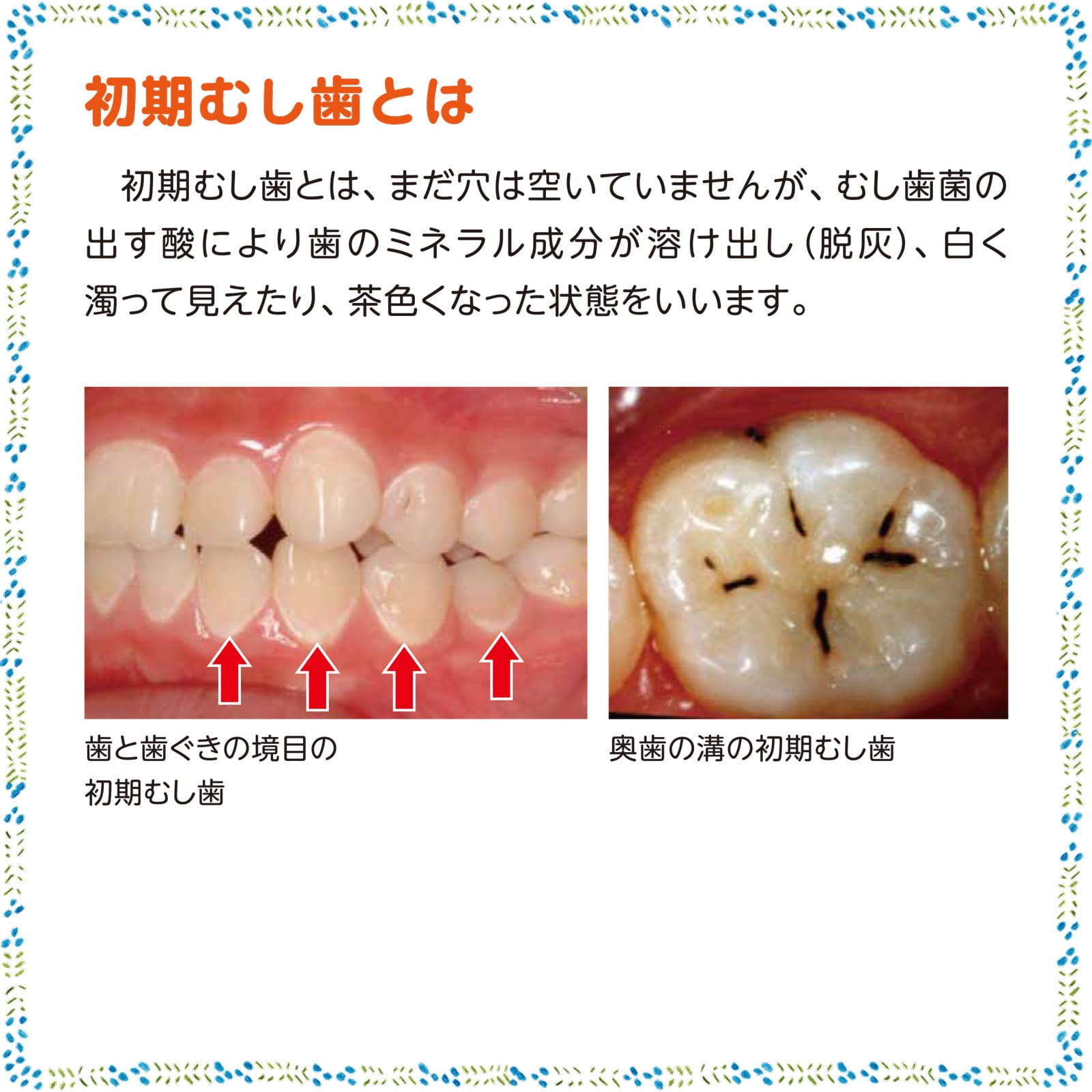 デンタルクリニック12月号