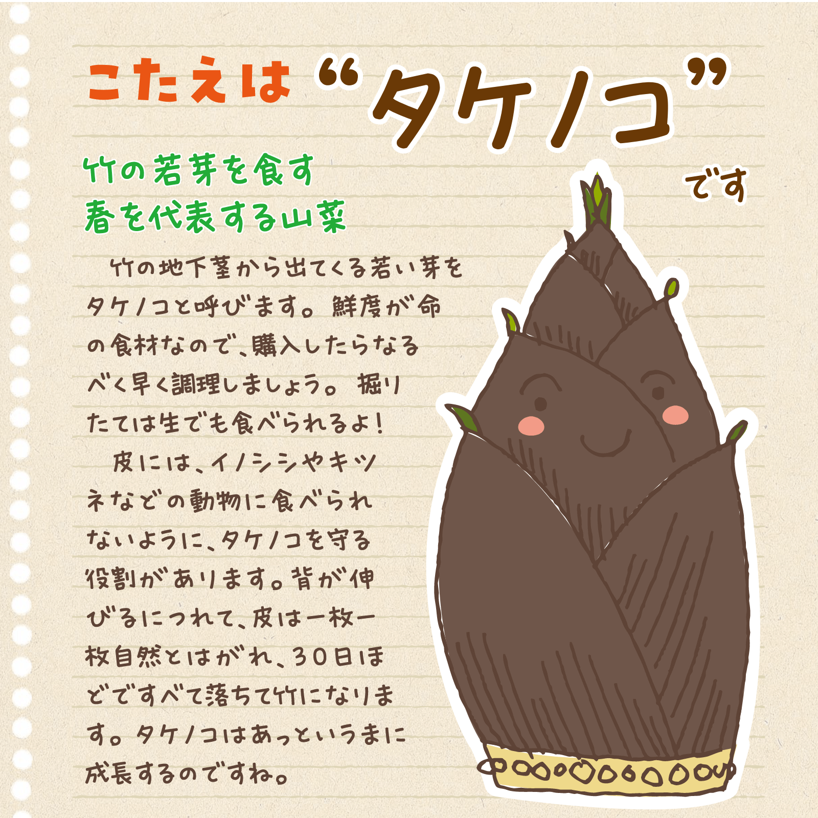 べじたぶるのーと4月号