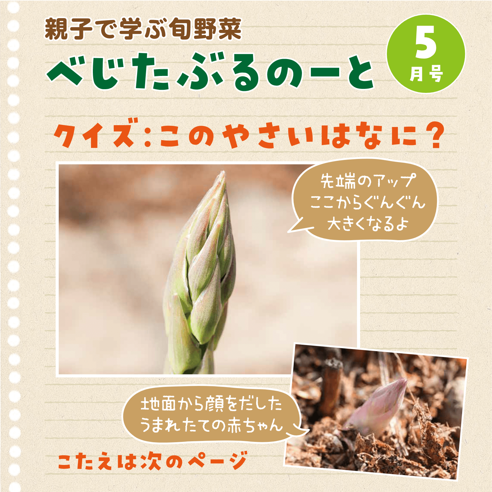 べじたぶるのーと5月号