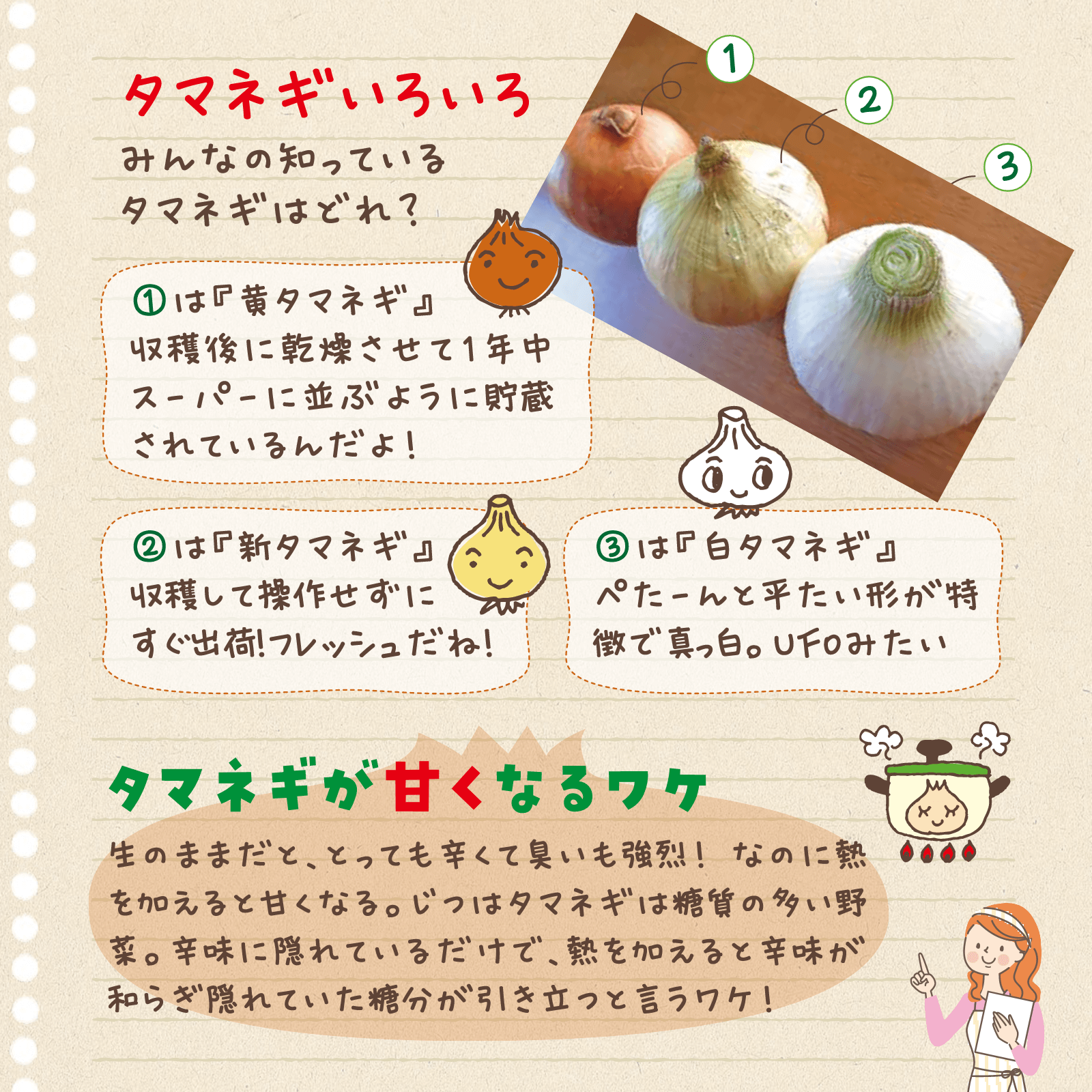 べじたぶるのーと6月号