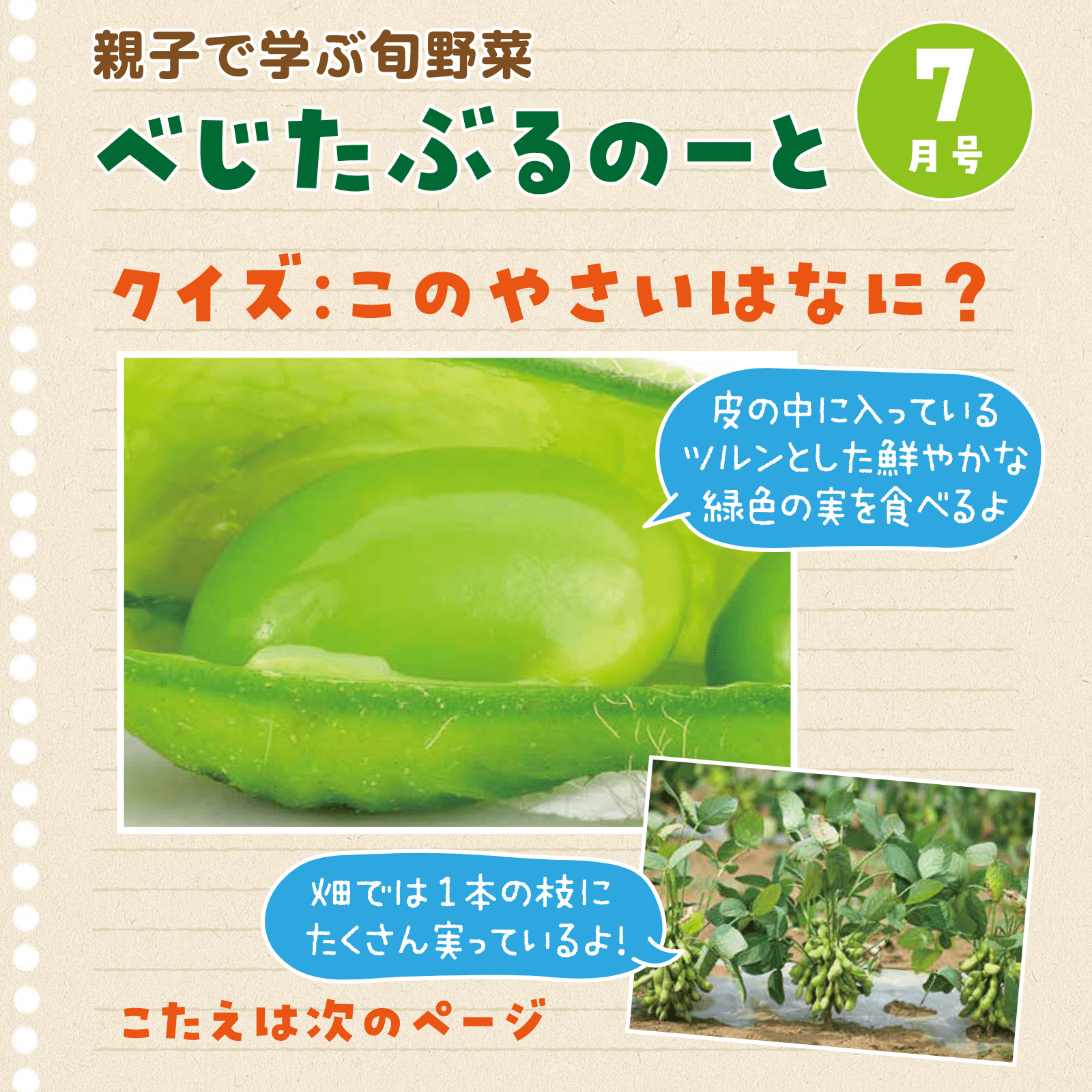 べじたぶるのーと7月号