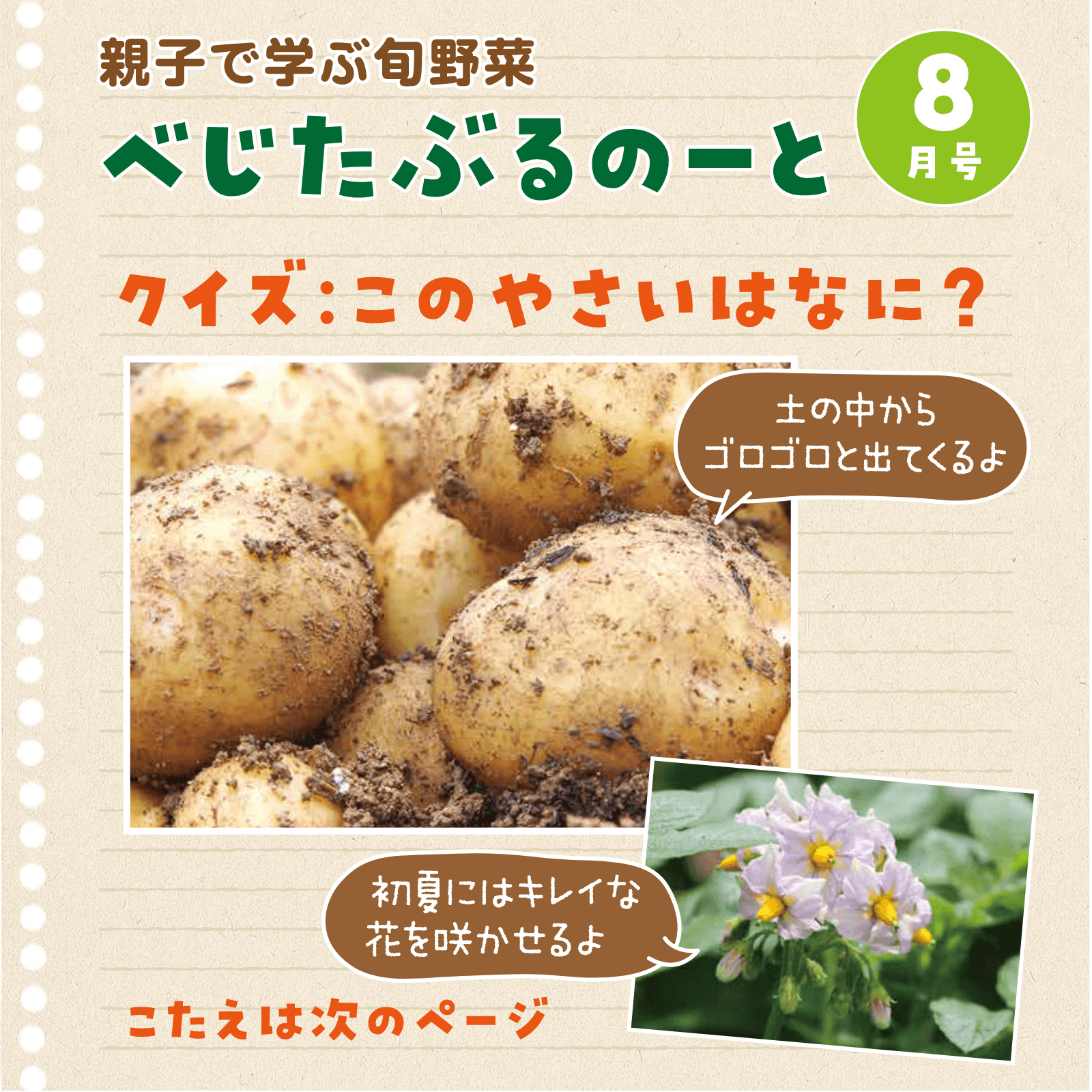 べじたぶるのーと8月号