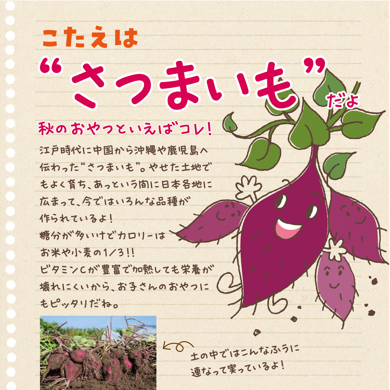 べじたぶるのーと10月号