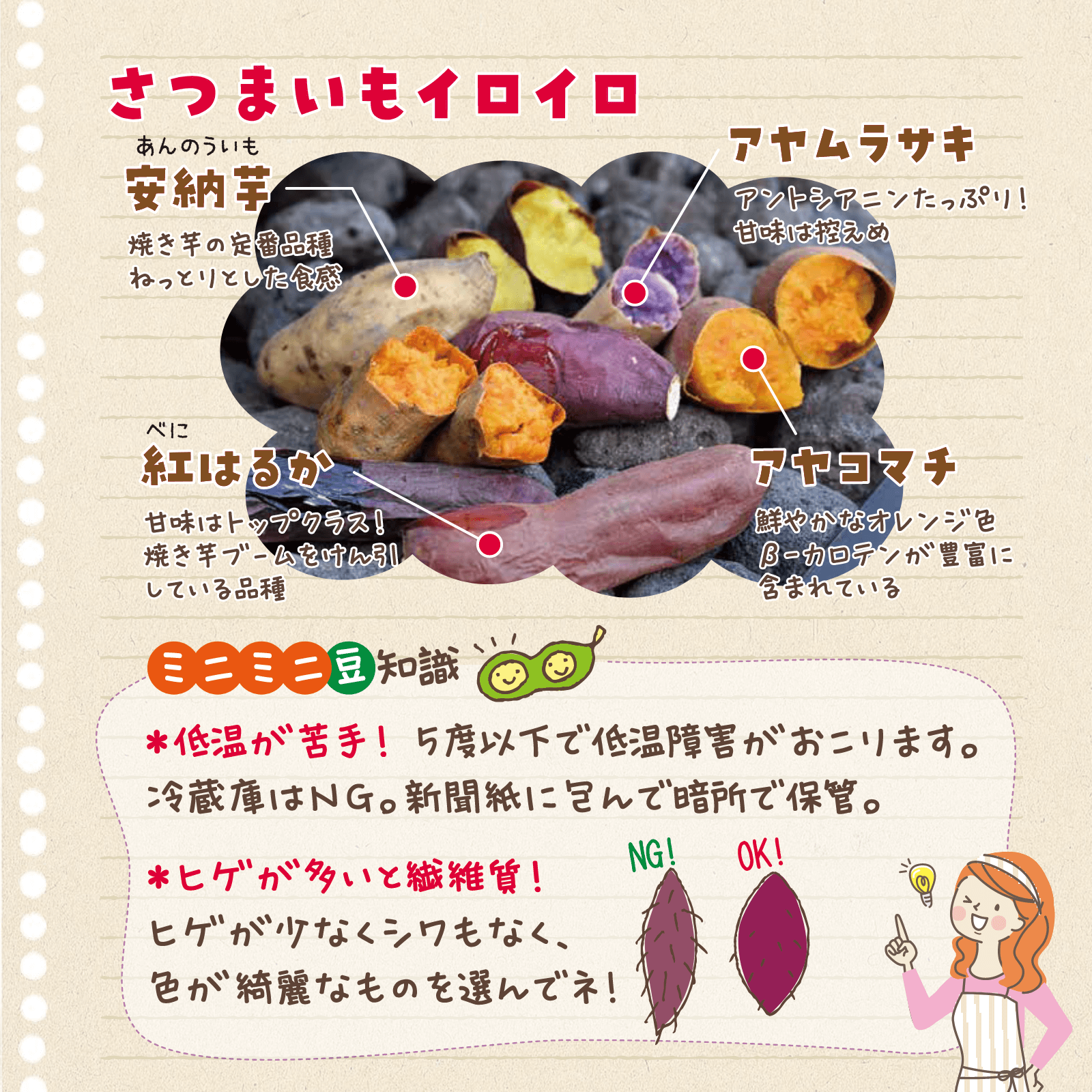 べじたぶるのーと10月号