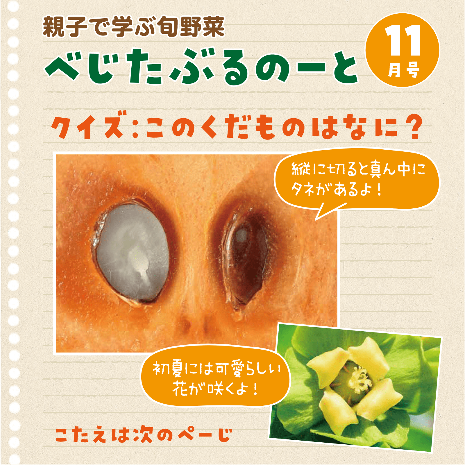 べじたぶるのーと11月号