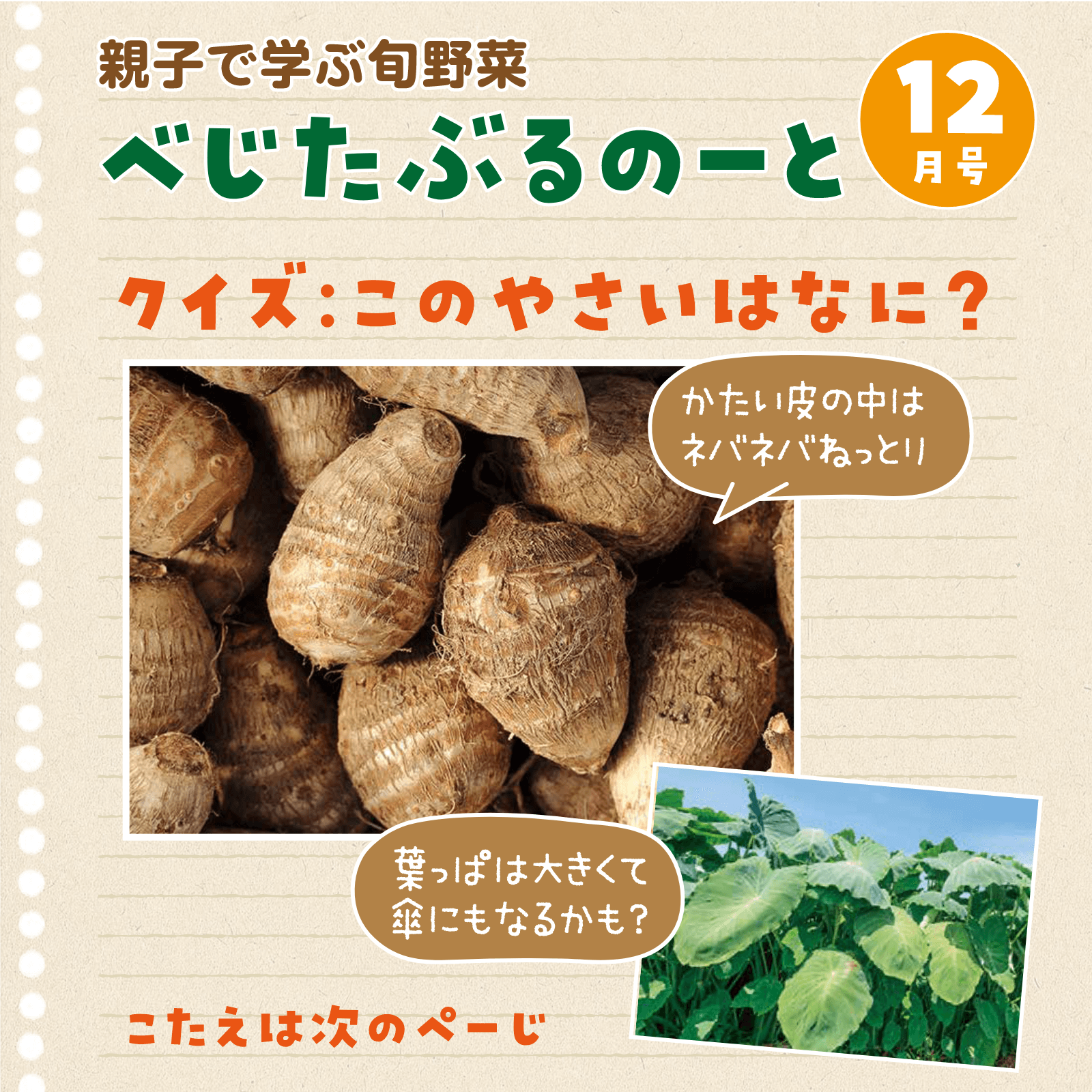 べじたぶるのーと12月号