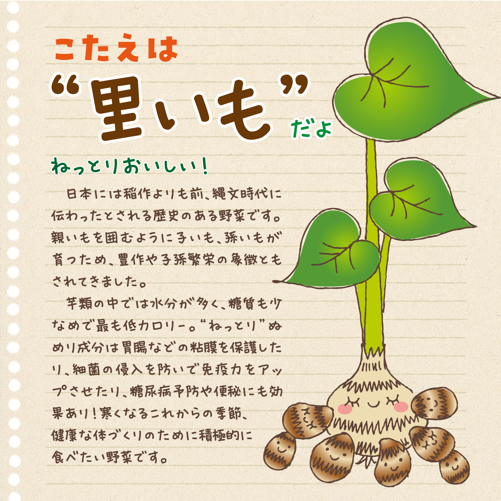 べじたぶるのーと12月号