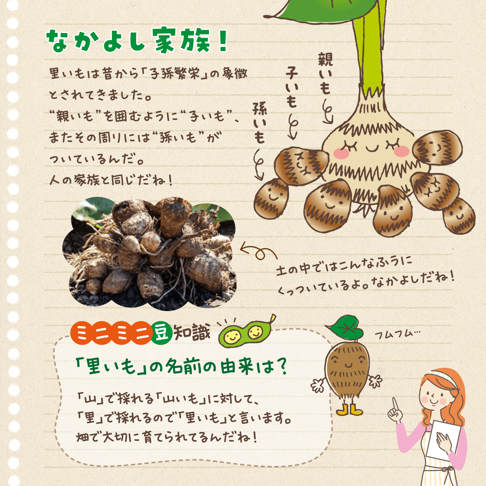 べじたぶるのーと12月号