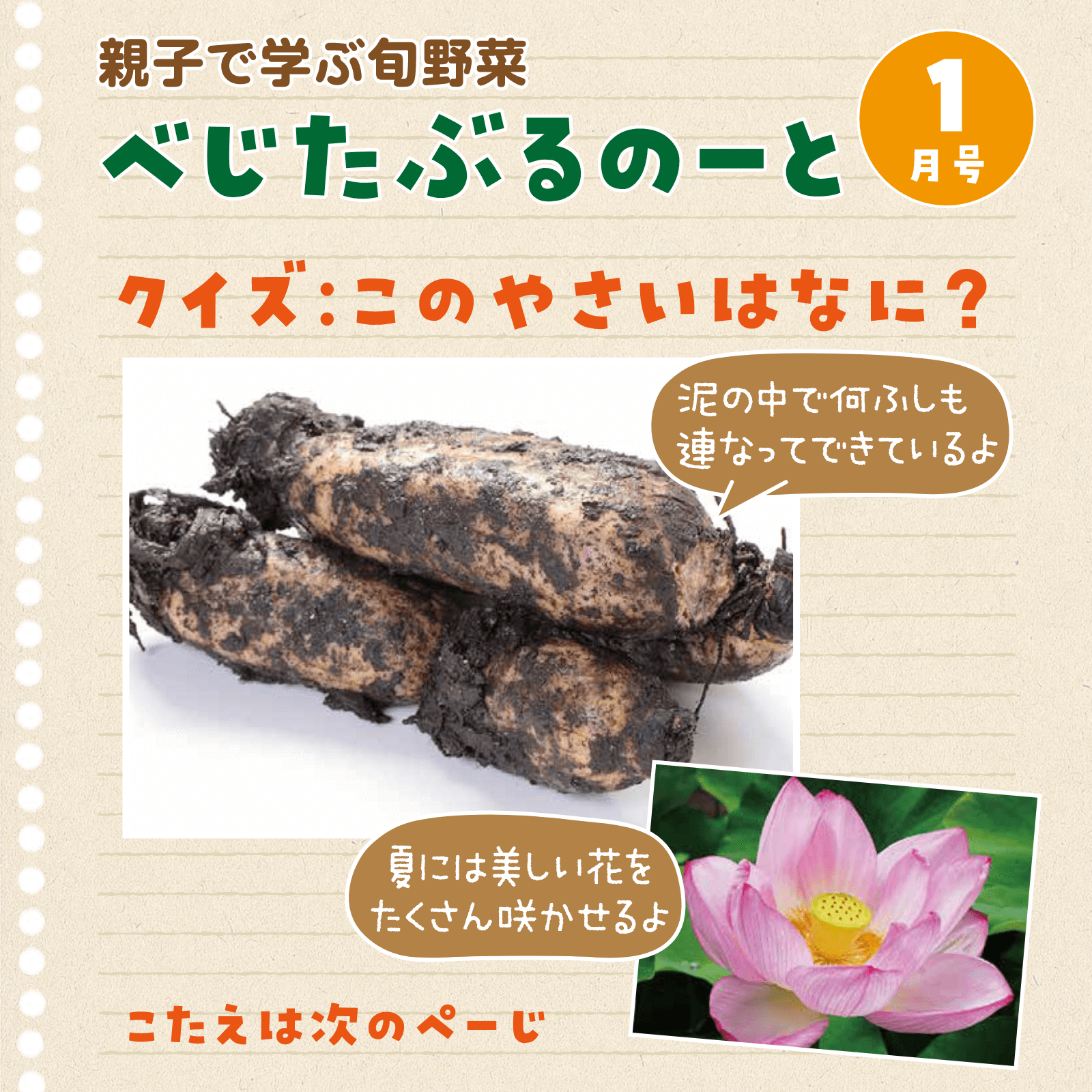 べじたぶるのーと1月号