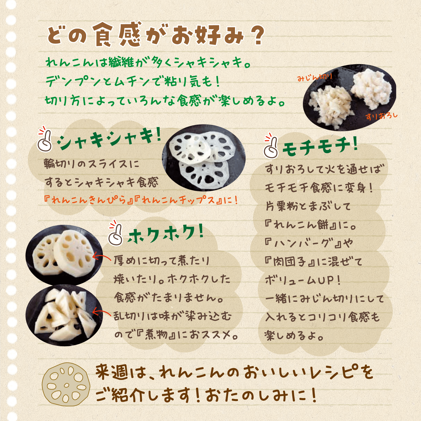 べじたぶるのーと1月号