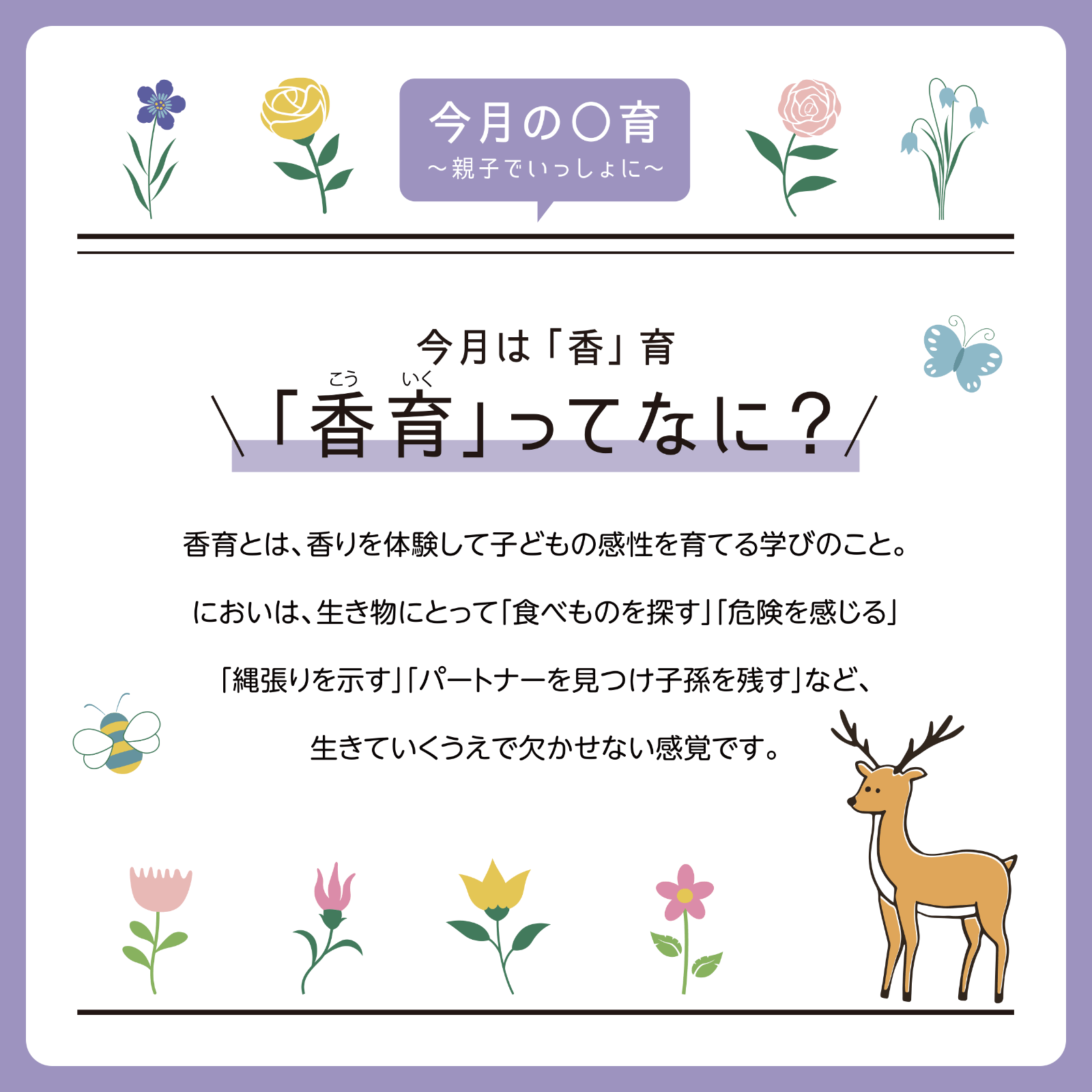 今月の◯育 6月号